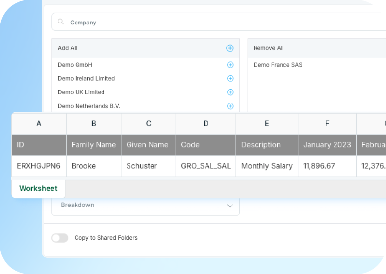 Precision-Engineered & Branded Payslip Reporting