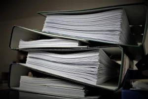 Interface « Fichiers de paie AVS » affichant les documents de paie et les dossiers de paie des salariés à des fins de gestion de la paie.
